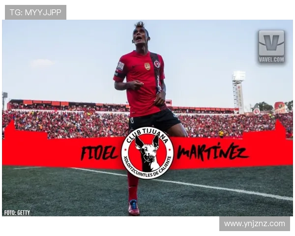 申花官宣签下塞内加尔中锋盖伊