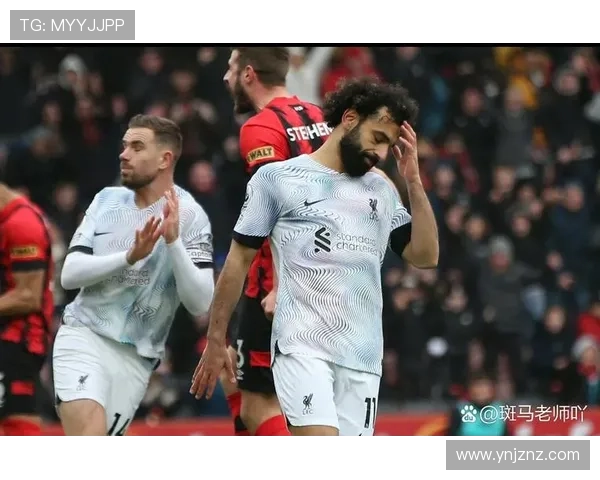 伯恩茅斯签下拉扬3030万